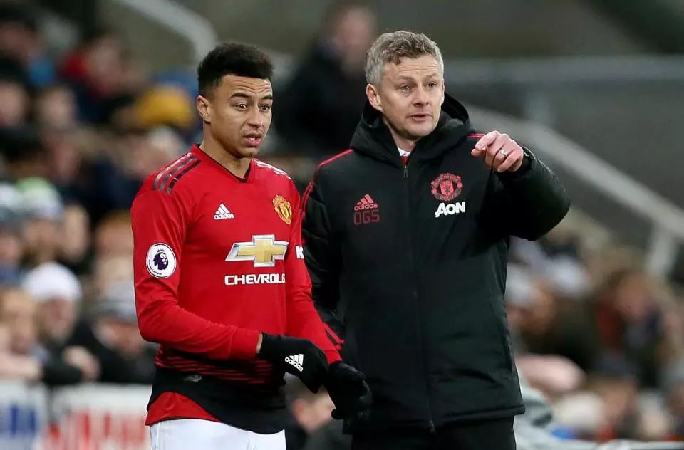 观察霍华德 观察霍华德